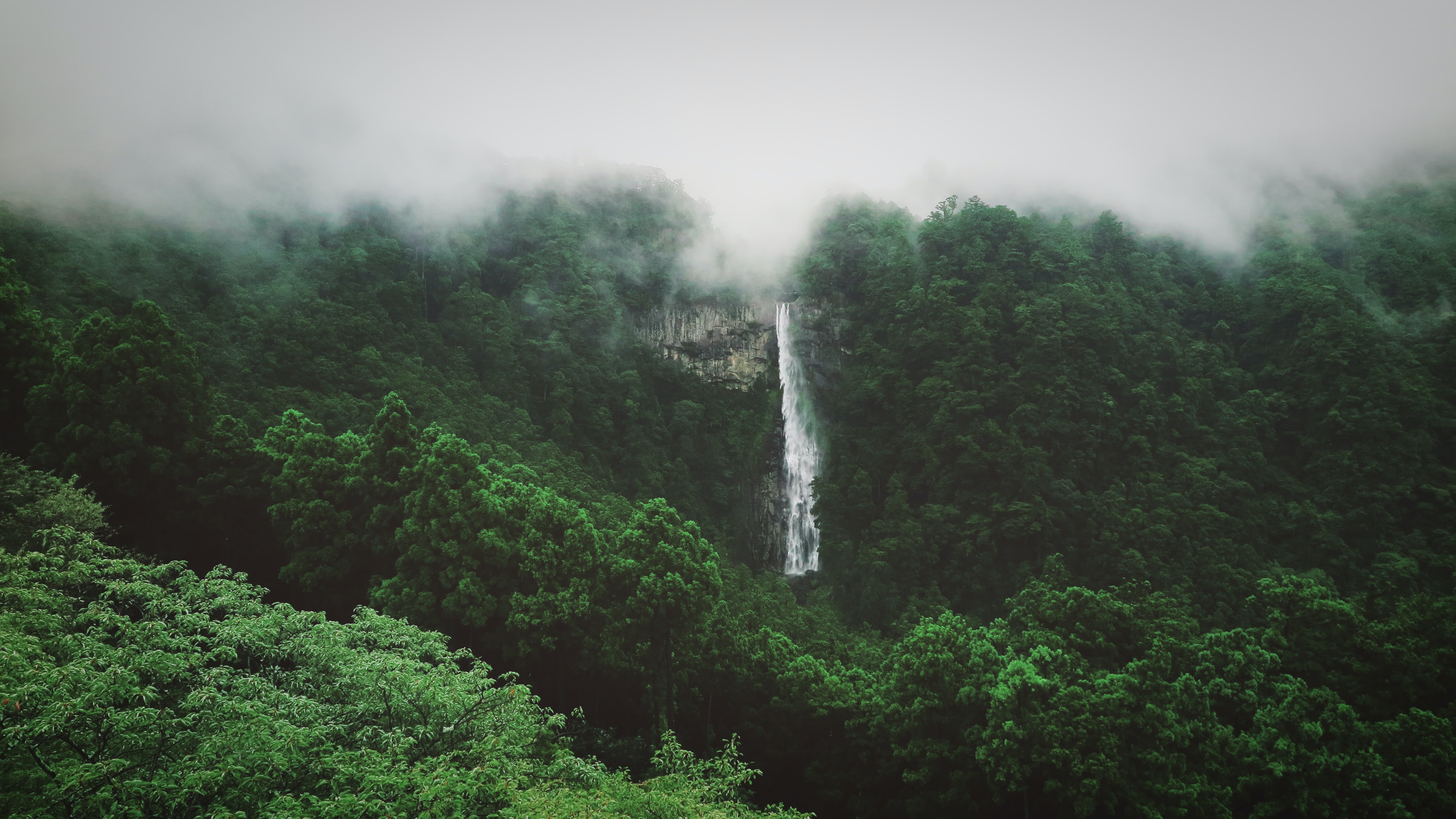山与雾